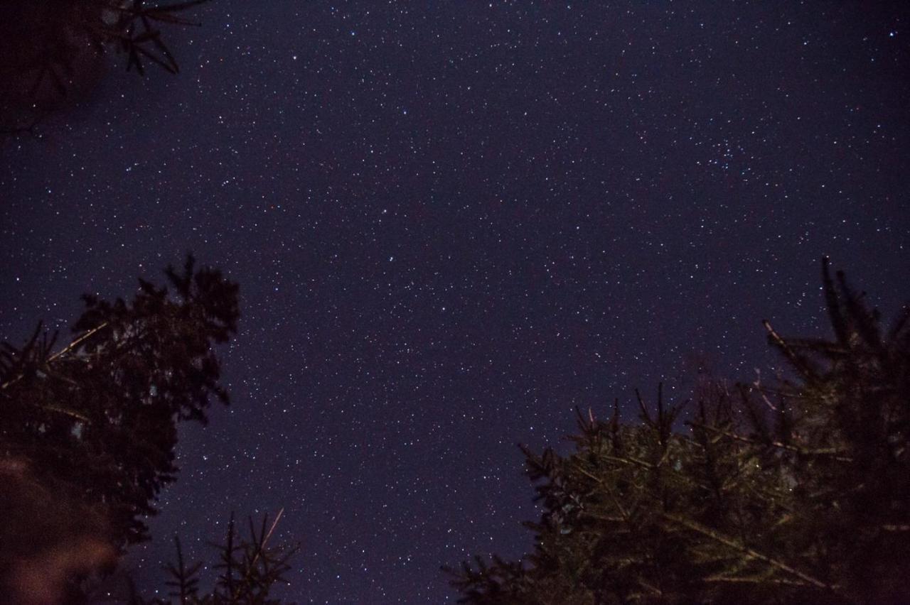 Konak 1400 Tara Mokra Gora Buitenkant foto