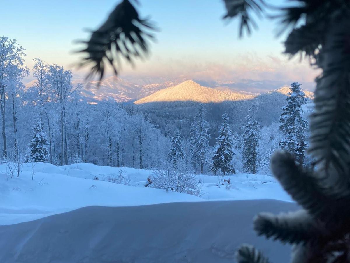 Konak 1400 Tara Mokra Gora Buitenkant foto