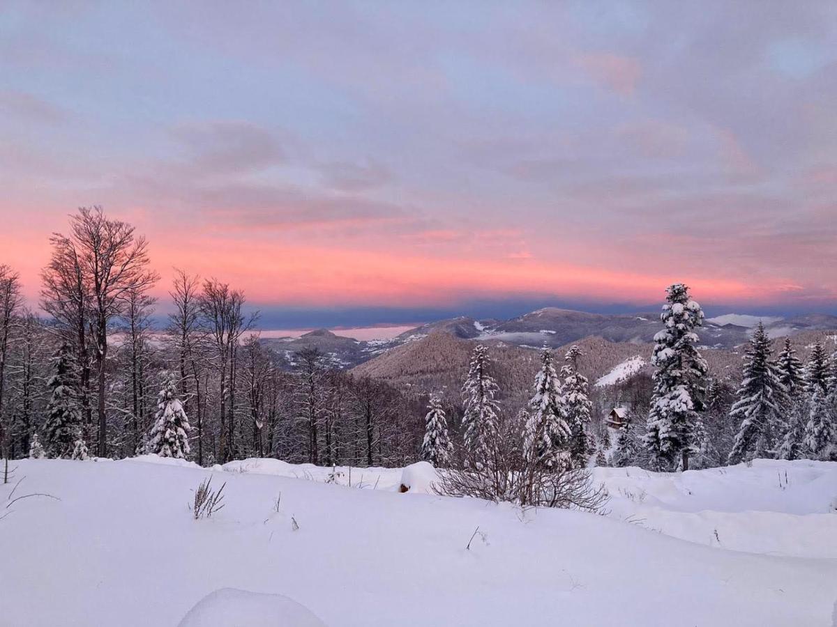 Konak 1400 Tara Mokra Gora Buitenkant foto
