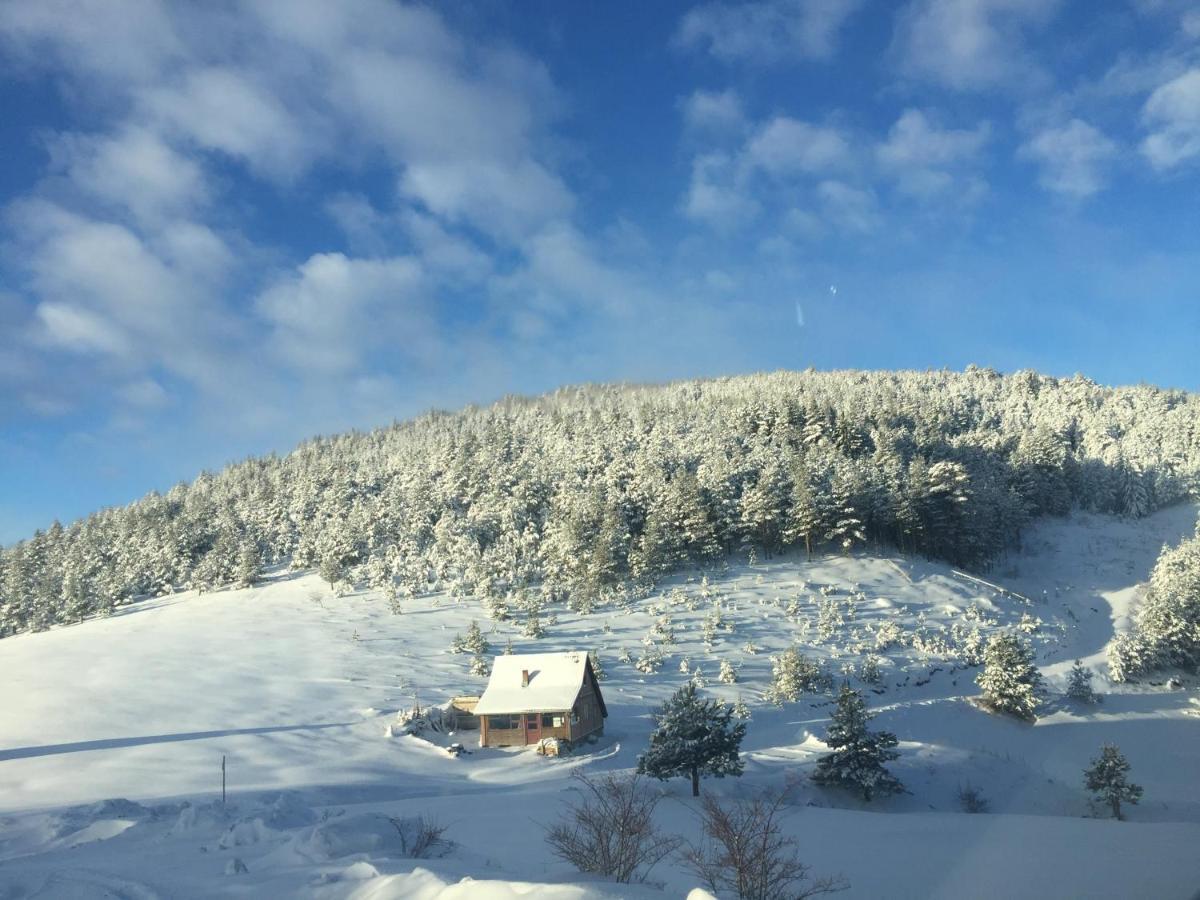 Konak 1400 Tara Mokra Gora Buitenkant foto